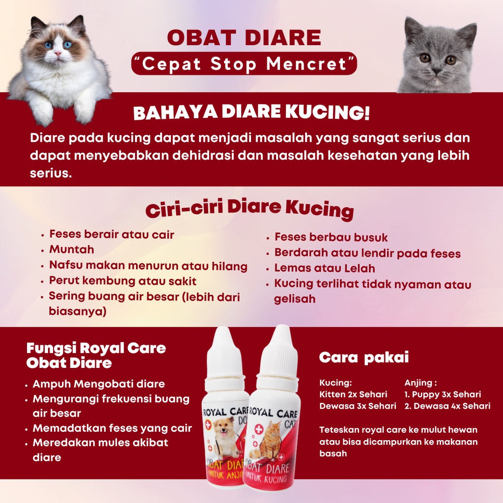 Royal Care Obat Diare dan Mencret 10ml | Obat Kucing &amp; Anjing by Royal Cats | Mengatasi Diare dan Mencret