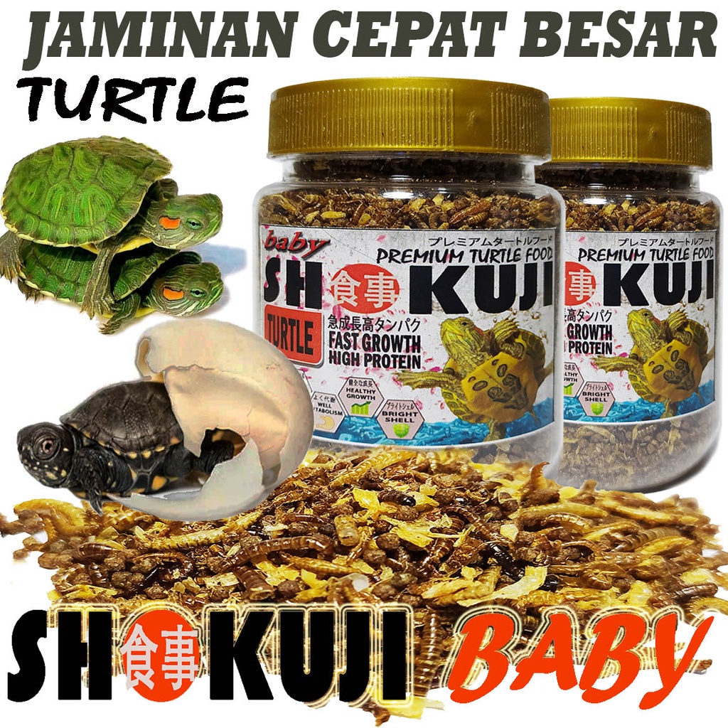 SHOKUJI TURTLE BABY FOOD PAKAN KURA AIR BAYI PELET ALIGATOR RES BRAZIL MAKANAN ANAKAN KURAKURA AMBON