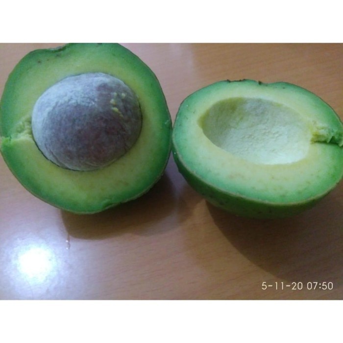

Alpukat Mentega LAMPUNG Avocado 1 kg TERPILIH & BERGARANSI
