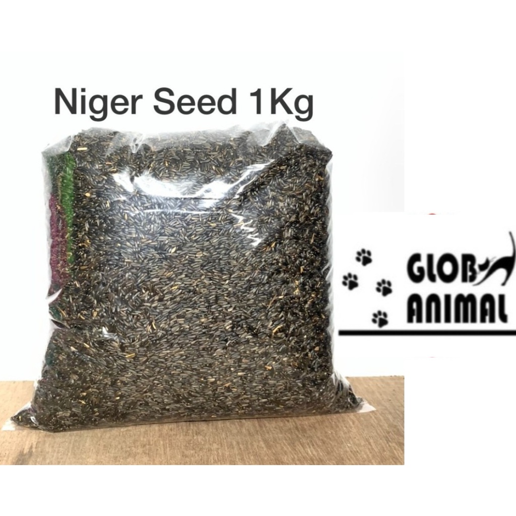 NIGER SEED 1KG pakan makanan burung biji nigger seed lovebird finc