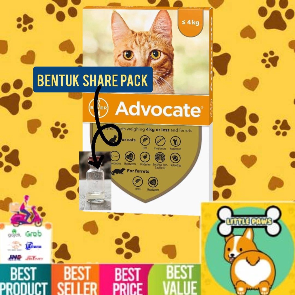 REPACK ADVOCATE CAT KITTEN - Obat kutu kucing kecil small 0-4kg
