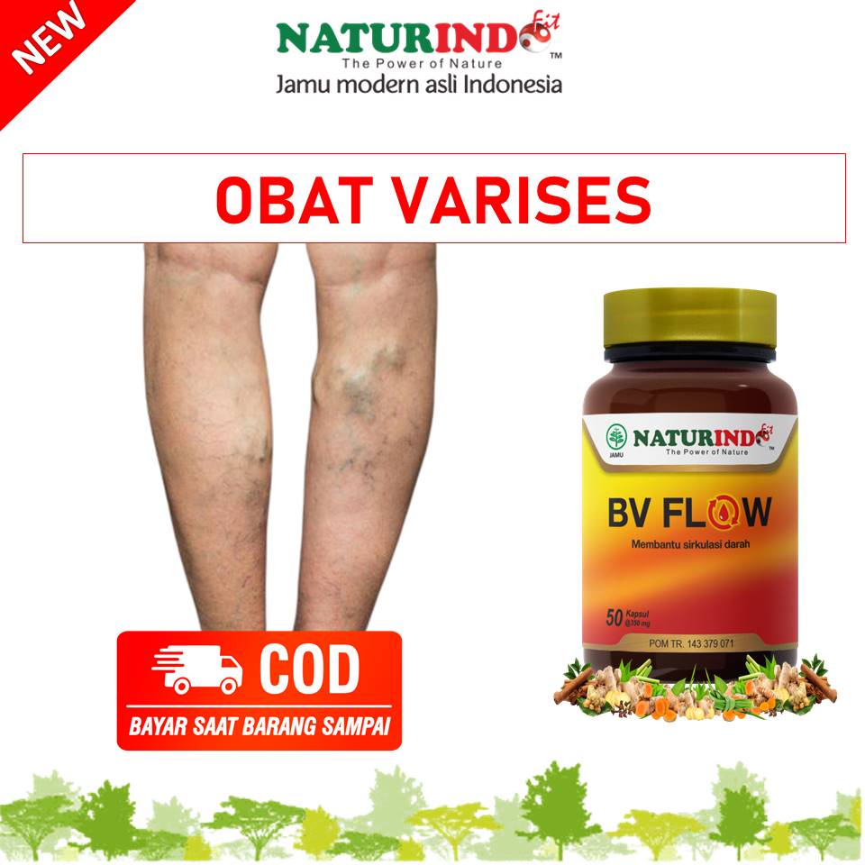 OBAT HERBAL VARISES PEMBENGKAKAN MEMPERBAIKI OTOT SYARAF MELANCARKAN PEREDARAN DARAH HERBAL ASLI MUR
