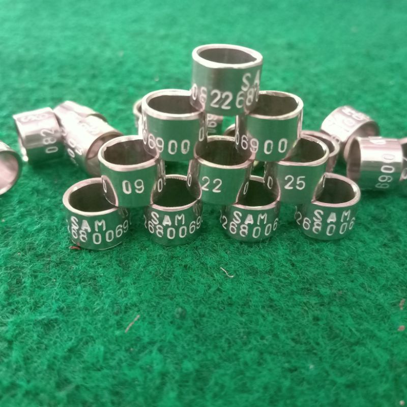 ring merpati baja ketok / cincin burung
