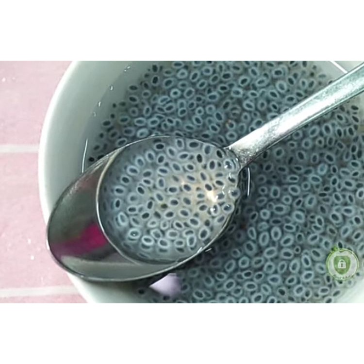 

PASAR ONLINE MURAH - BIJI SELASIH 1 PACK