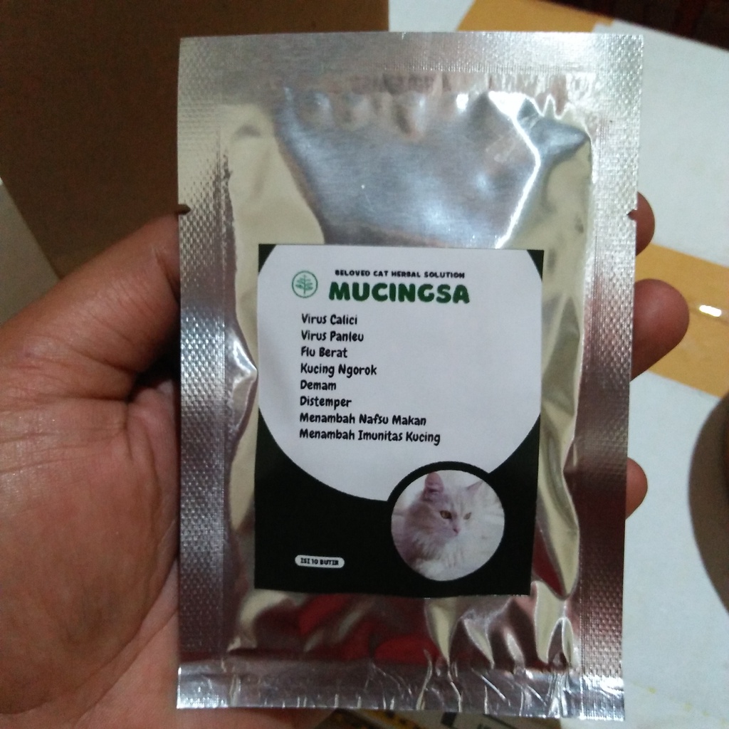 obat kucing bau mulut dan ngorok