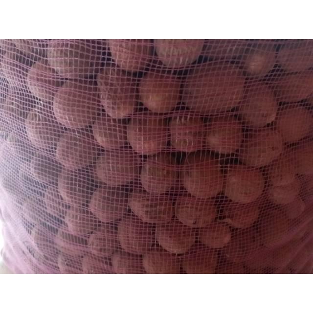 

100gr | BIJI PALA BULAT | WHOLE NUTMEG | Rempah herbal asli alami sudah dikupas bumbu dapur penyedap masakan rempah nusantara indonesia Best Seller