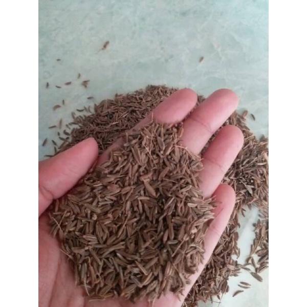 

Jinten 1kg Best Seller