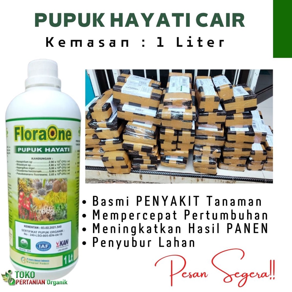Pupuk PGPR Penyubur Tanah dan FUNGISIDA Tricoderma Alami Hayati Cegah Layu Tanaman Sayuran dan Buah 