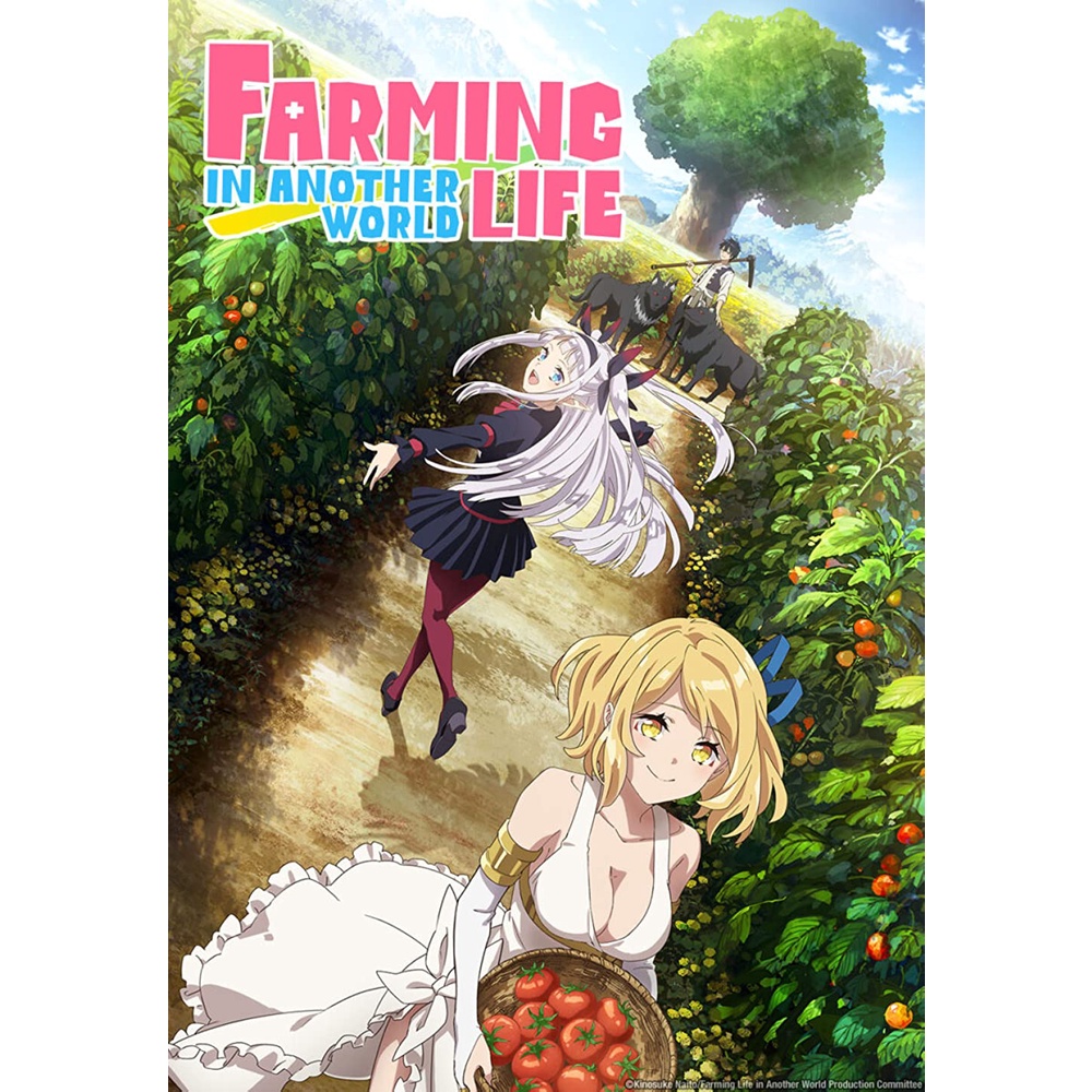 Dvd Anime Isekai Nonbiri Nouka