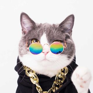 SS Kacamata Kucing Peliharaan 6577 Kaca Mata Lucu Anjing Anabul Hitam Fashion Hewan Anti UV Lucu Aksesoris High Quality Animal Sunglasses Kaca Mata Murah