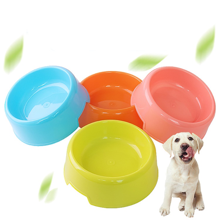 SS Tempat Makan Kucing Mangkok Minum Hewan Doggy Lucu Mangkok Makan Hewan Single Pet Food Bowl Import Murah