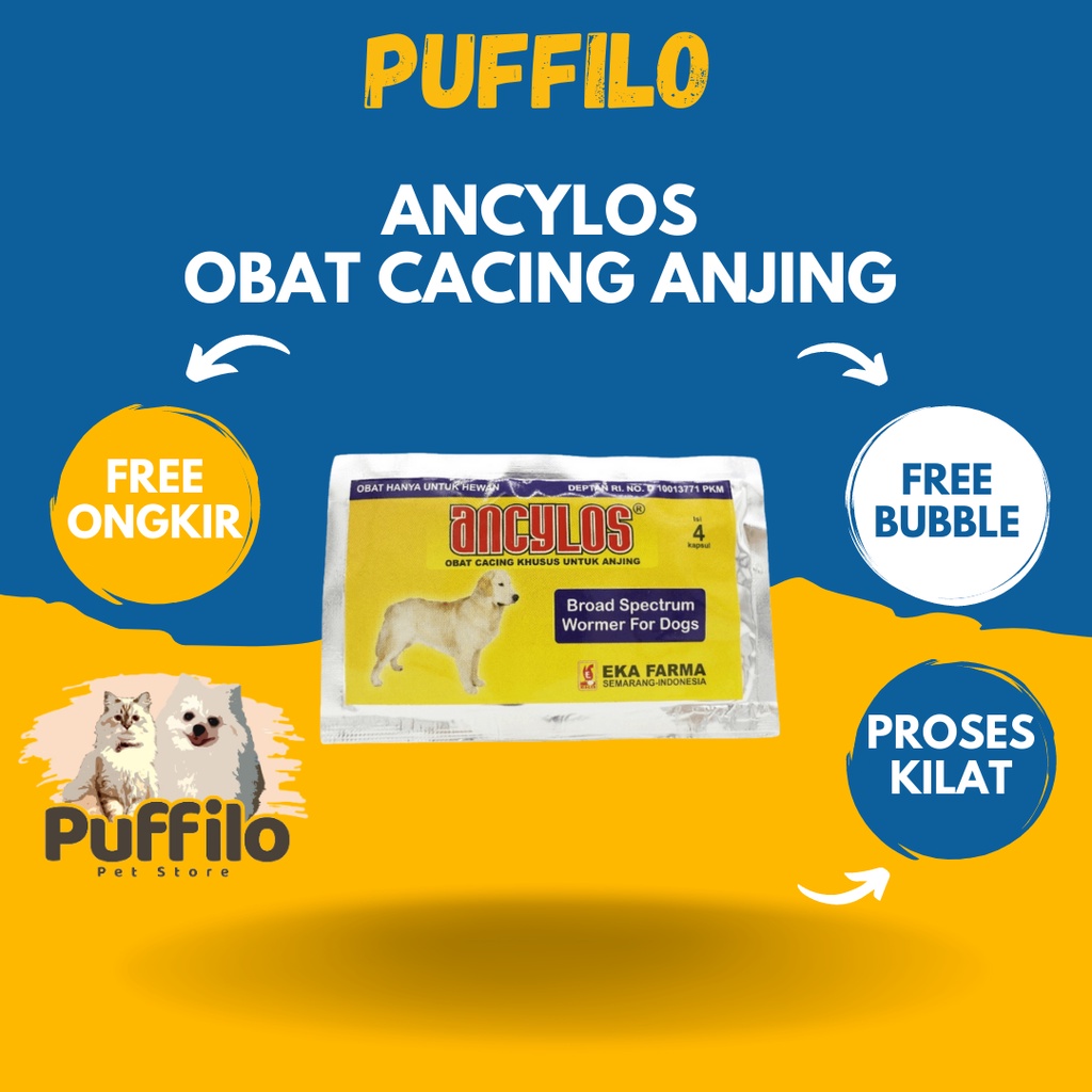 Obat Cacing Anjing Ancylos 1 sachet isi 4 kapsul