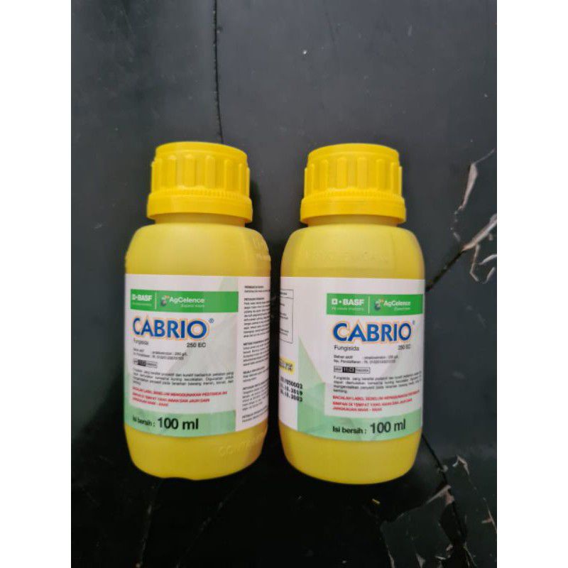 Cabrio 250 EC 100 ml