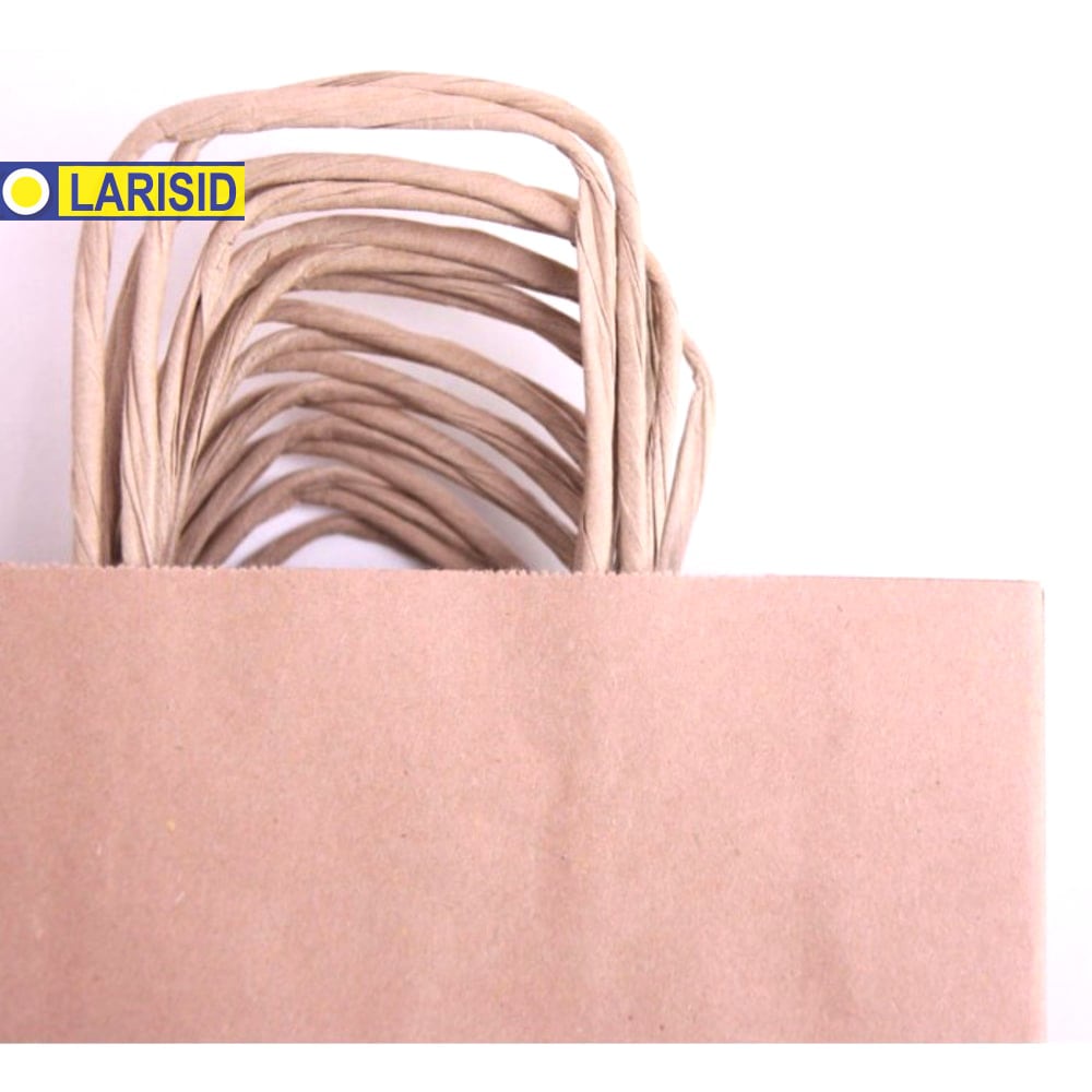 

Paper Bag Kraft Polos Tali B 290x240x80 Okey 1 pcs