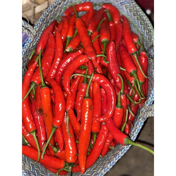 

Cabe Merah besar atau hot chilli 1 kg Murah