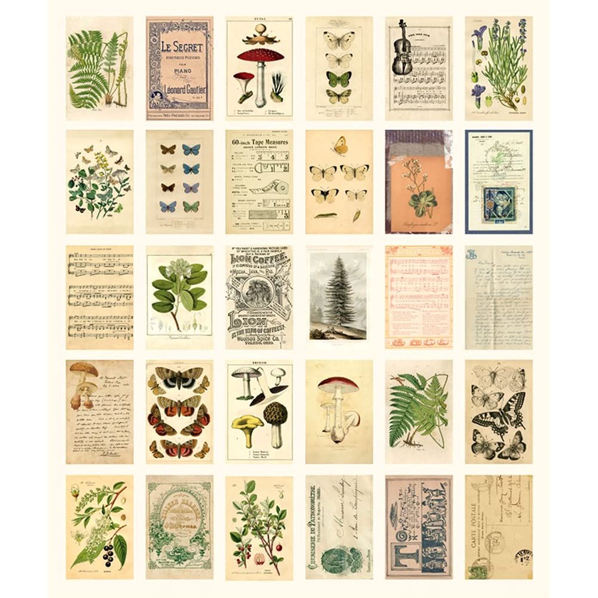 

Sticker BOTANICAL tanaman aesthetic journaling
