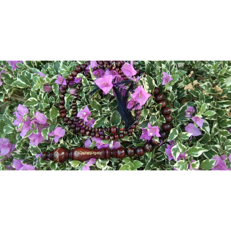 cemeti/cambuk galih asem full