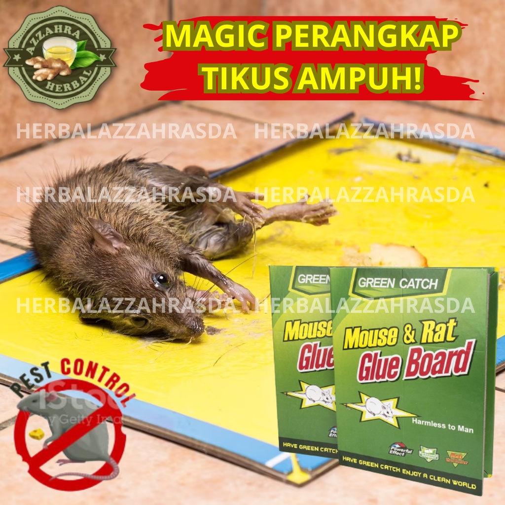 Papan Lem Tikus Masal Besar Jumbo Ampuh Massal Umpan Tanpa Alat Penangkap Murah - MOUSE RAT GLUE