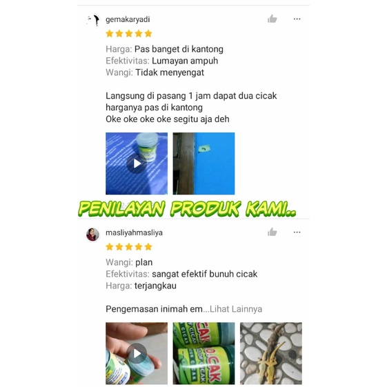 RACUN PEMBASMI CICAK PALING AMPUH OBAT CICAK HERBAL ALAMI ORIGINAL ASLI