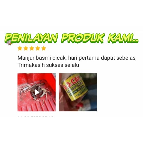 RACUN PEMBASMI CICAK PALING AMPUH OBAT CICAK HERBAL ALAMI ORIGINAL ASLI