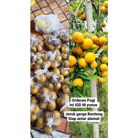 

Paket Hemat Gerga 5 kg