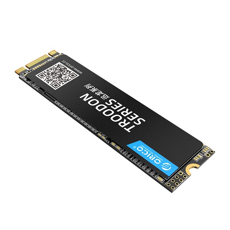 Orico N300-128GB SSD Soket M.2 SATA 2280 TROODON SERIES 3D NAND Flash