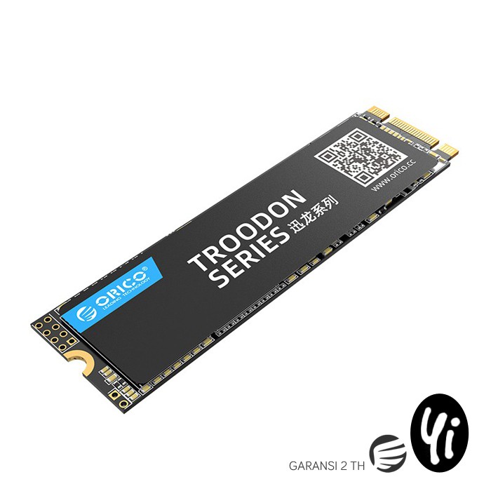 ORICO SSD M.2 SATA 2280 1TB Troodon Series N300