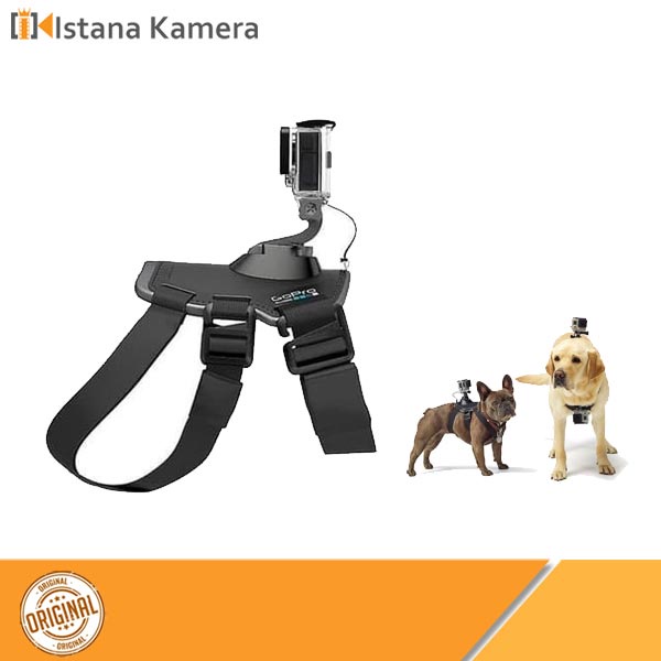 GoPro Fetch Dog Harness Original For All Type Gopro Kamera