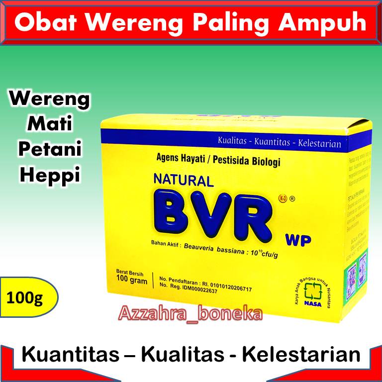 Obat Hama Wereng Padi Paling Ampuh / Obat Wereng Coklat / Pestisida Alami Tanaman Padi / Obat Walang