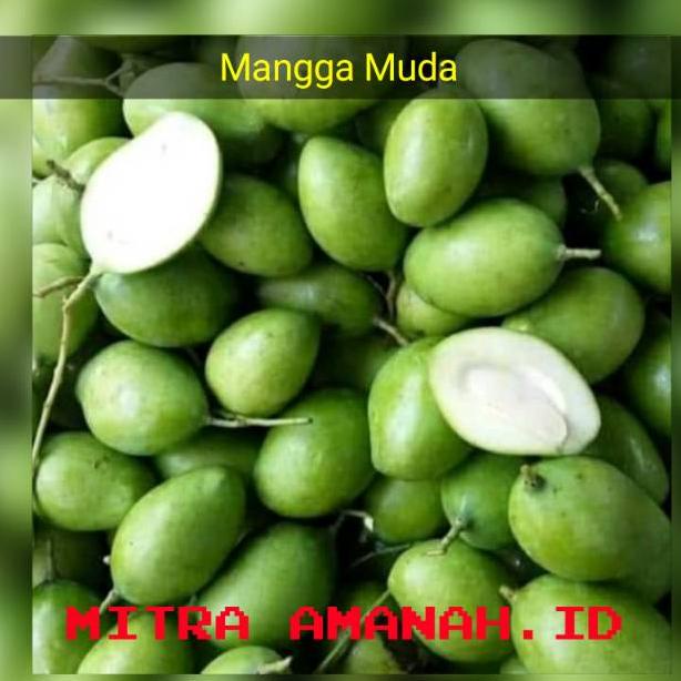 

COD✔️ MANGGA MUDA GROSIR FRESH