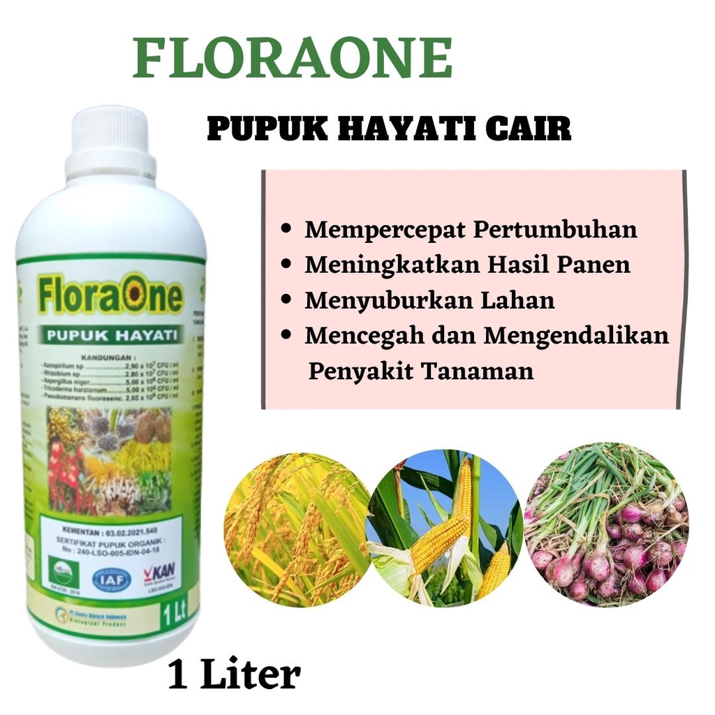 TUMBUH! Fungisida Hayati Cair FLORAONE PGPR pgpr untuk padi