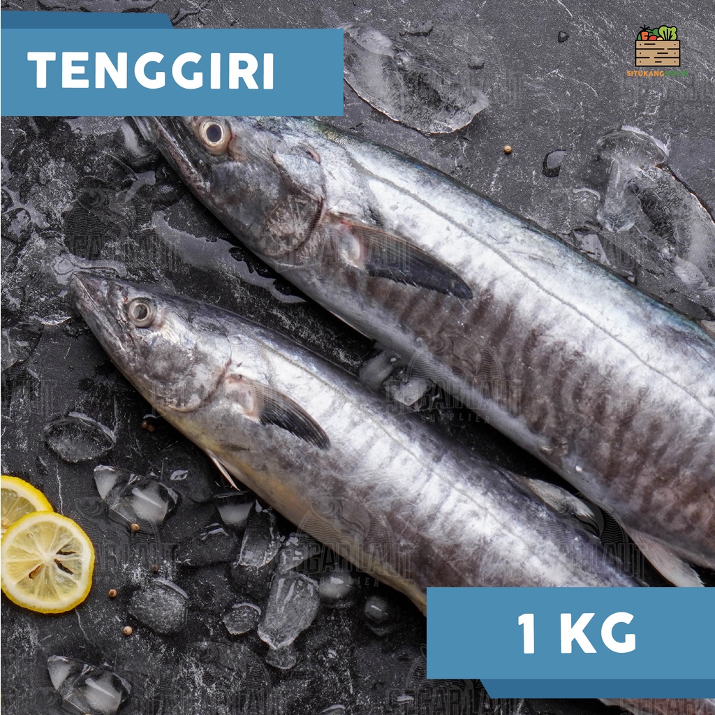 

Ikan Tenggiri | ±1kg (Kota Bandung & Sekitar)