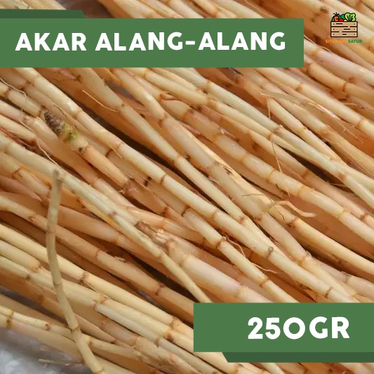 

Alang -Alang | 250gr (Kota Bandung & Sekitar)