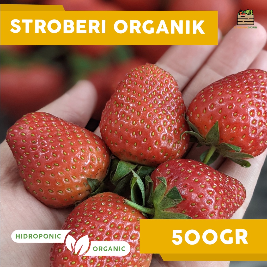 

Stroberi Organik | 500gr (Kota Bandung & Sekitar)