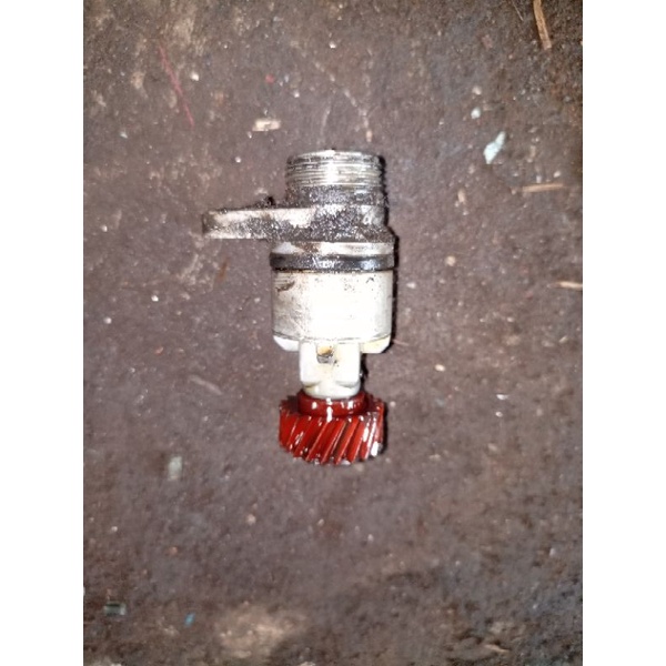 gigi nanas gear speedo TIMOR