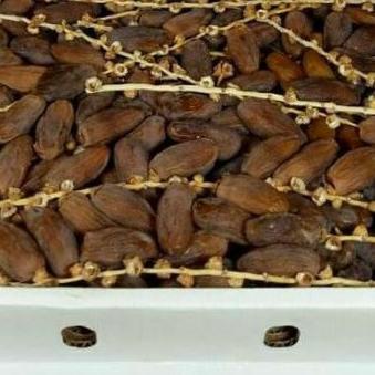 

Discount⭐✔️-Kurma fruit Tunisia tangkai ukuran 1kg exp2024