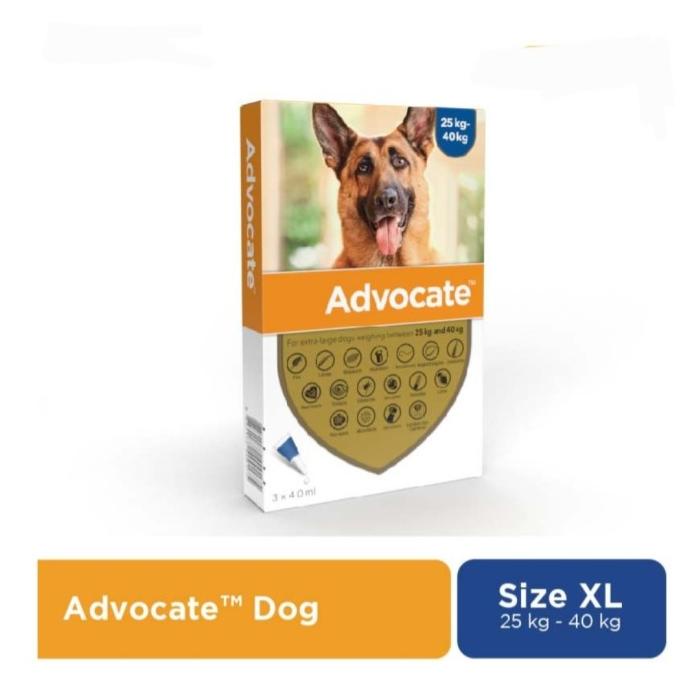 advocate XL extra large dog flea tick 25 - 40 kg obat kutu anjing