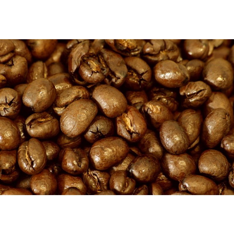 

Biji kopi Lanang Roasting | Untuk Vitalitas pria 1 kg