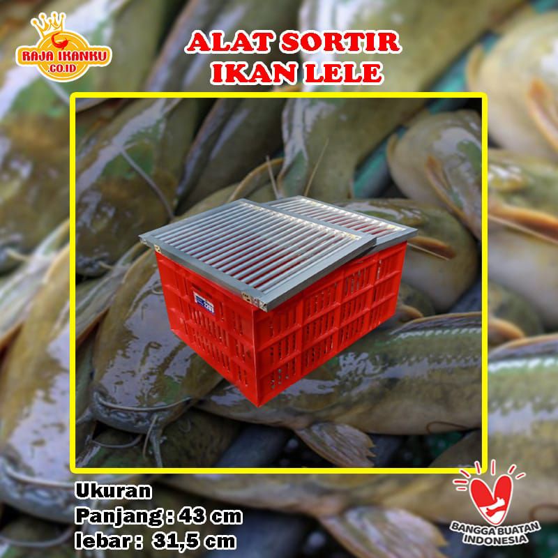 Alat Sortir Lele Saringan Ikan Lele Praktis - Seritan Alat Sortir Ikan Lele.