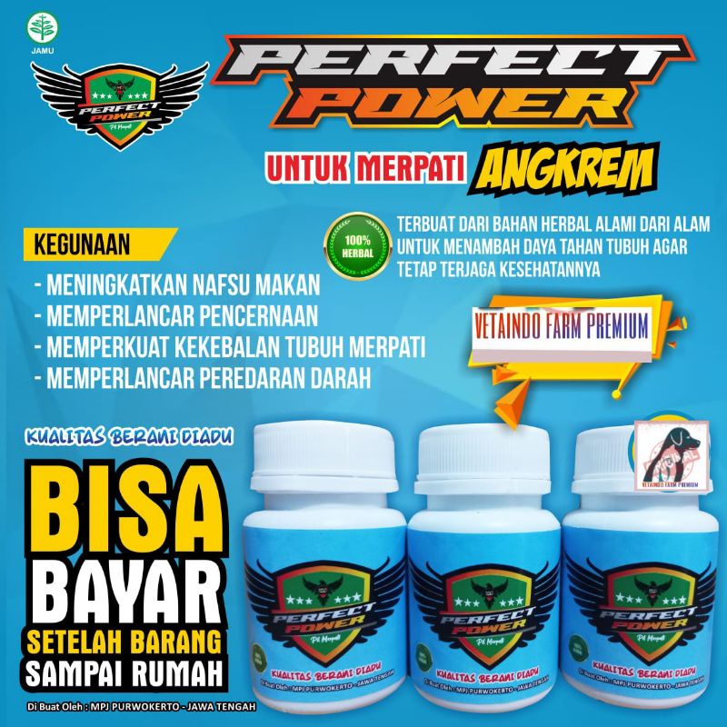 JAMU PIL MERPATI ANGKREM PERFECT POWER MEMPERCEPAT BURUNG MUDA JADI