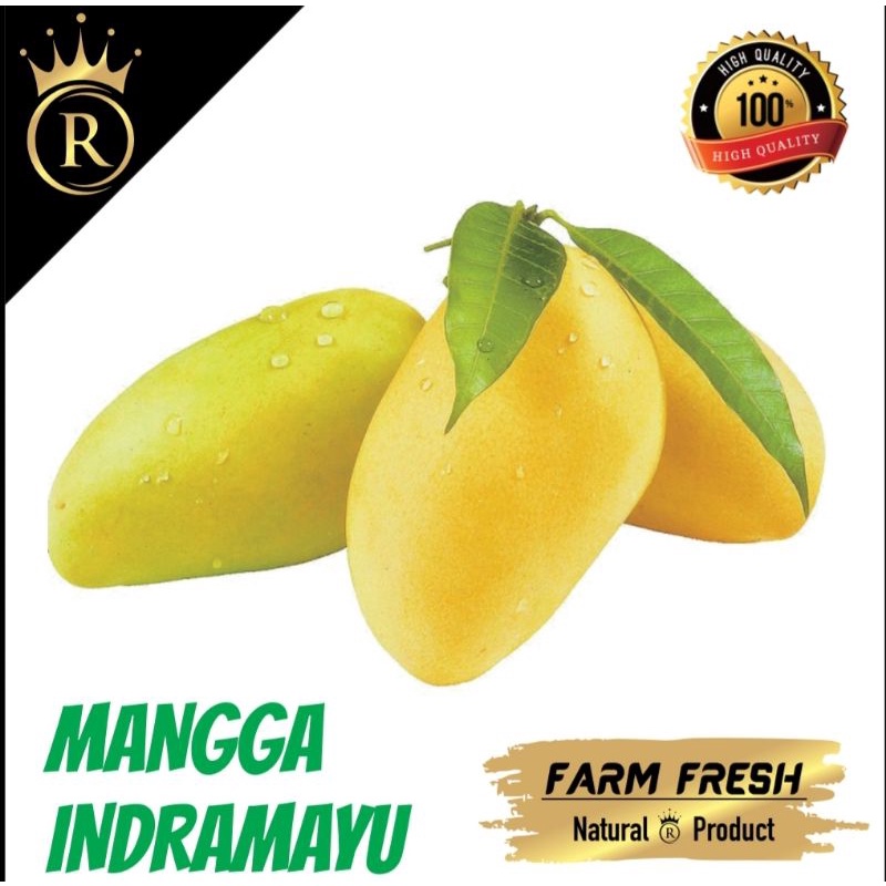 

INDRAMAYU / BUAH MANGGA INDRAMAYU 1KG