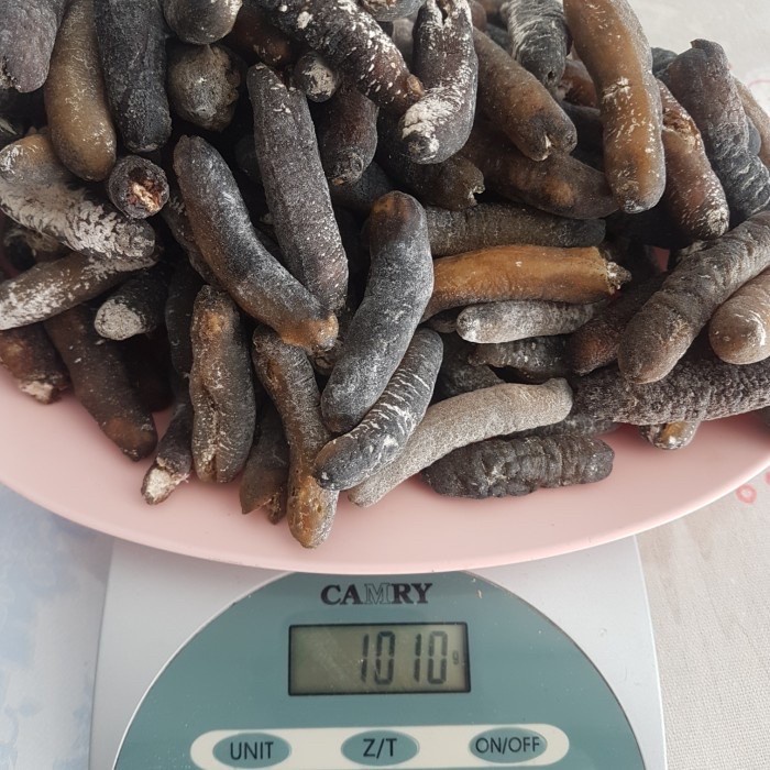 

teripang kering haisom gosok isi 100-150 MURAH MERIAH