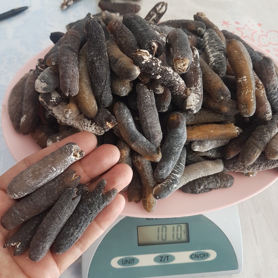 

teripang kering haisom gosok isi 200-250/kg MURAH MERIAH