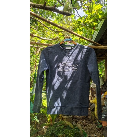 CN/CREWNECK/HOODIE LACOSTE ON NAVY