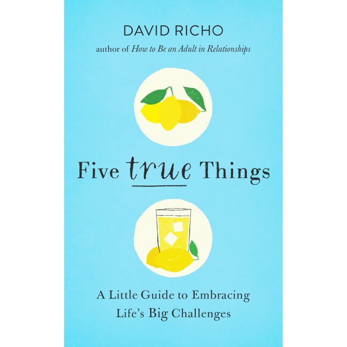 

Five True Things: A Little Guide to Embracing Life’s Big Challenges