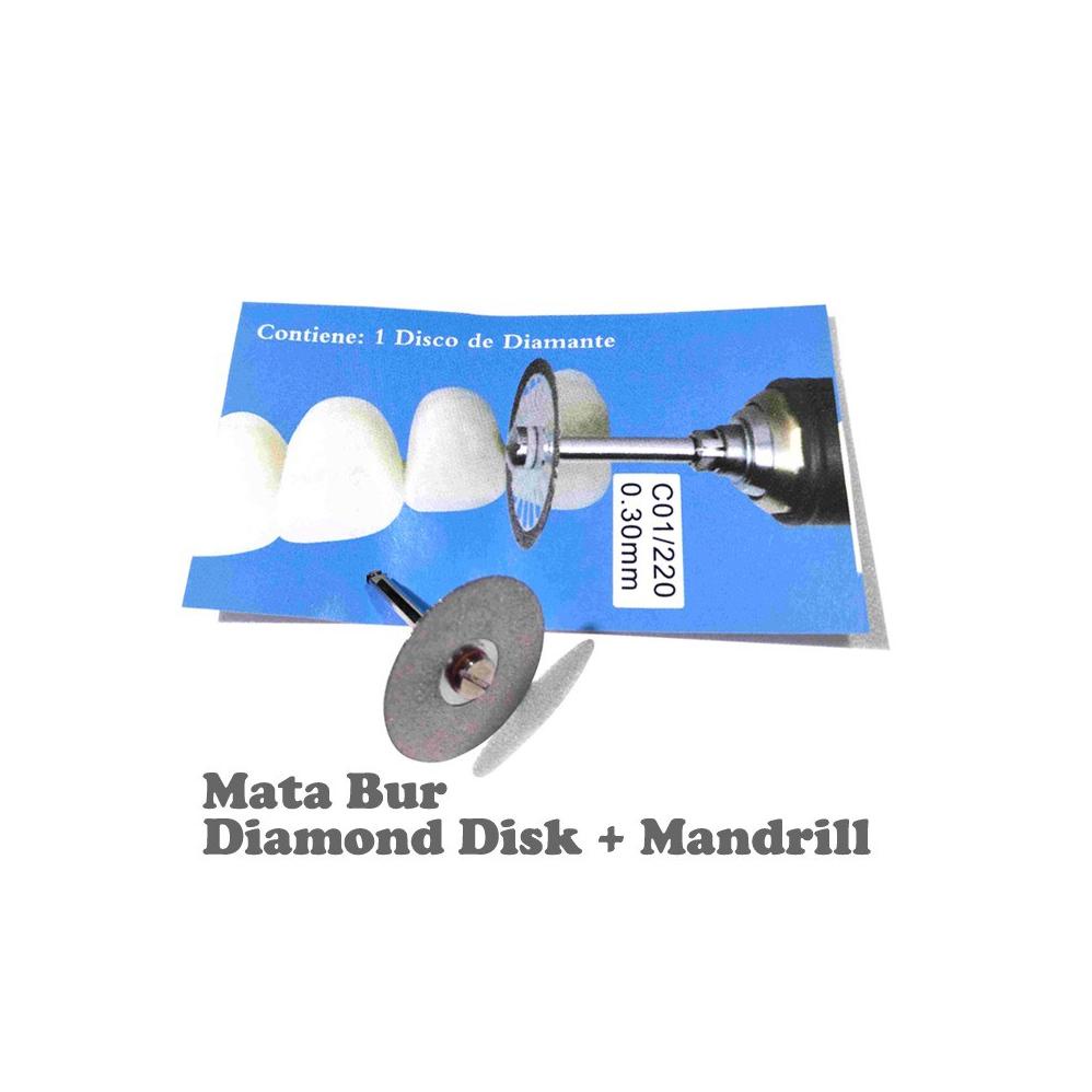 Terlaris mata Bur diamond disk With handle. 