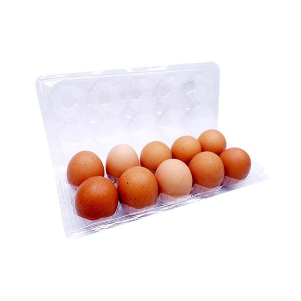 Promo Harga Telur Ayam Negeri 10 pcs - Shopee