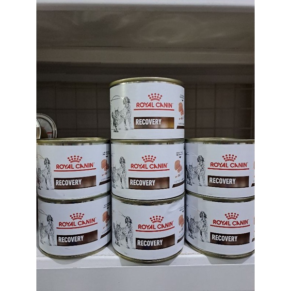 Royal canin recovery