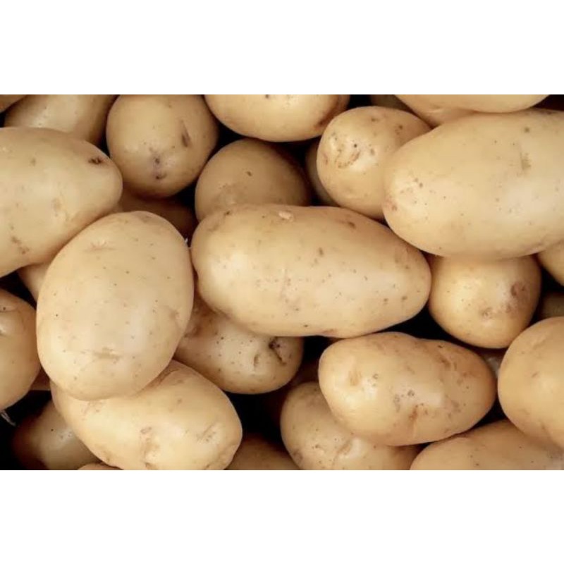 

kentang import 500gram
