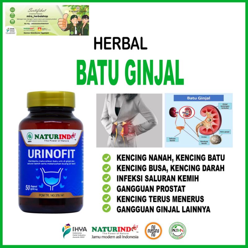 Herbal urinofit membantu mengatasi Batu Ginjal Dan Pelancar Saluran Kemih  Susah Buang Air Kecil